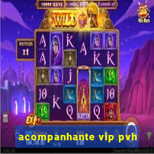 acompanhante vip pvh